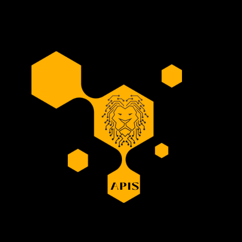 APIS NETWORKING LLC